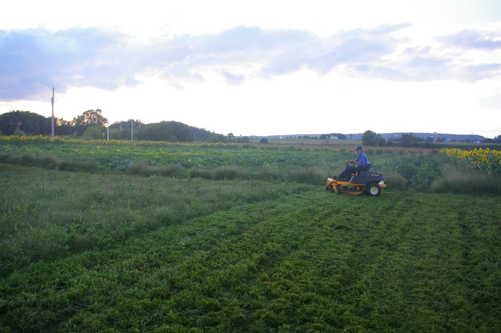 Ferme août 2011 009