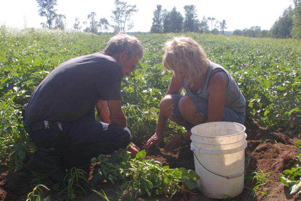 Les productions, juin 001