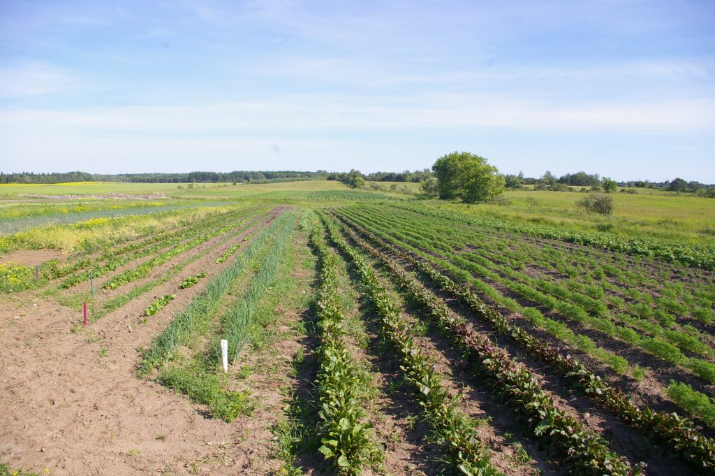 Les productions, juin 018