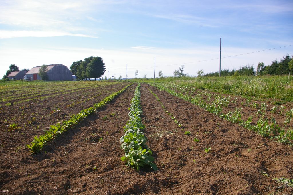 Les productions, juin 024